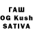Галлюциногенные грибы GOLDEN TEACHER Orest Rab